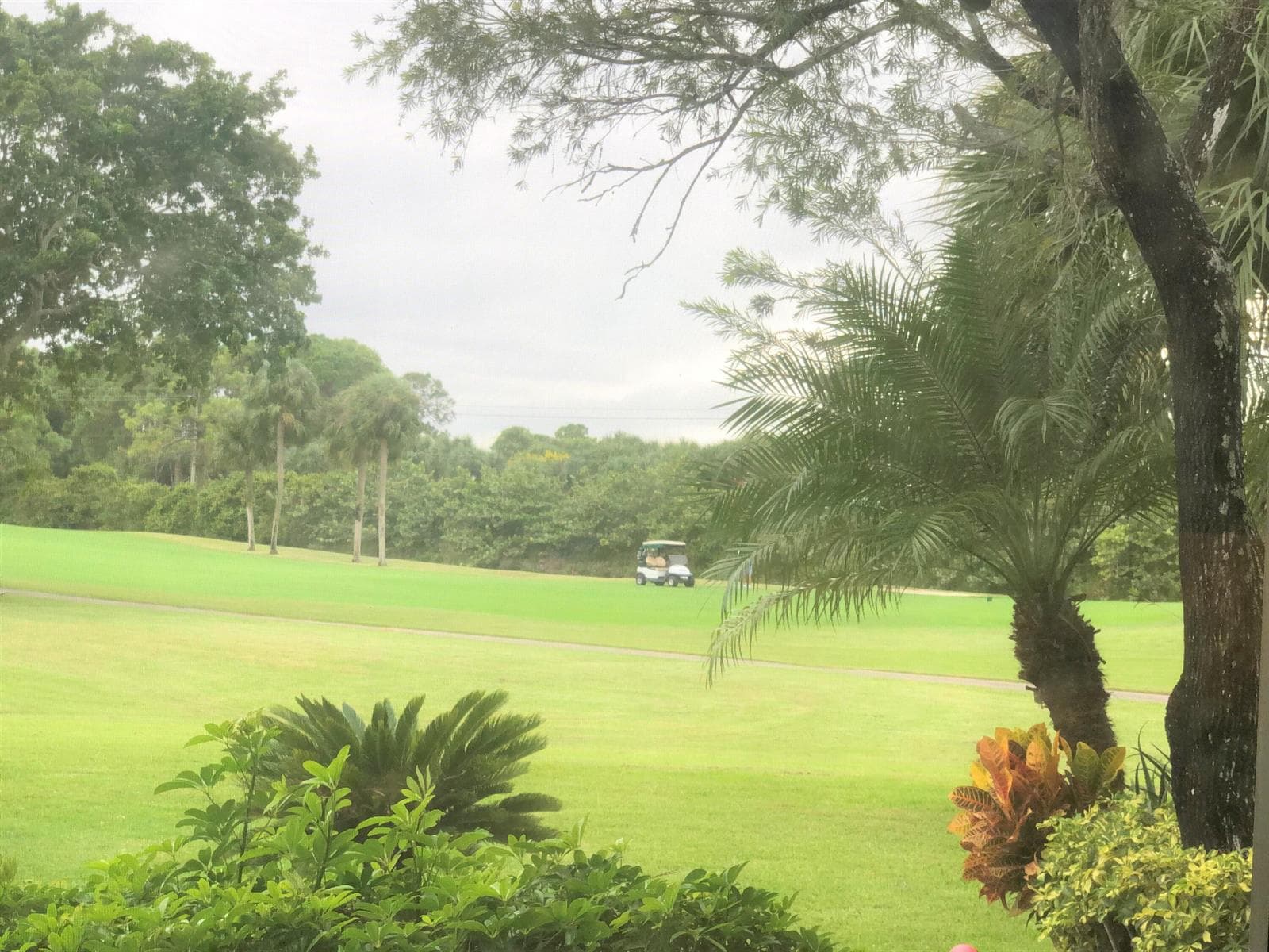Golf Course View
