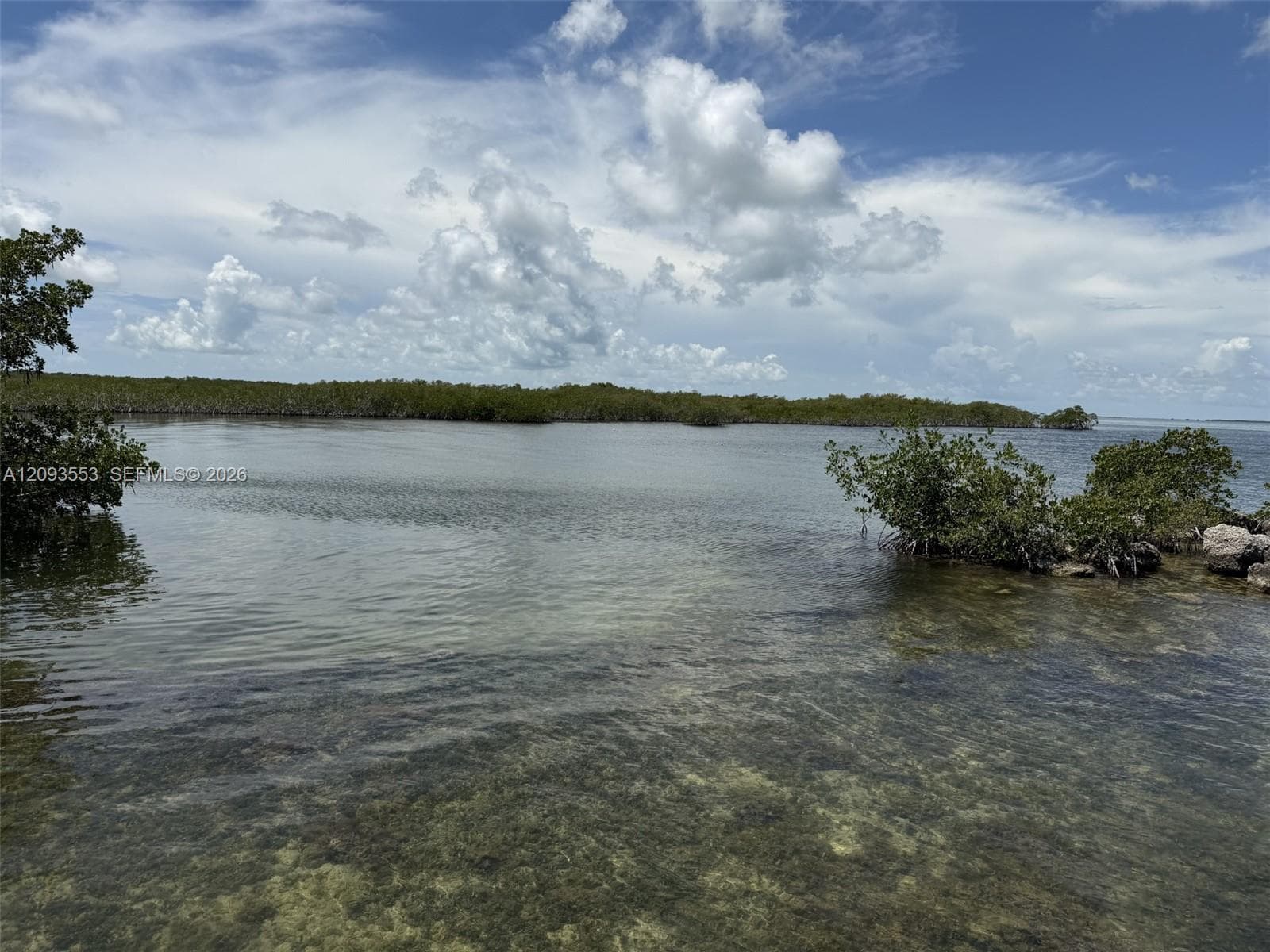 39 Gumbo Limbo Ave photo 27