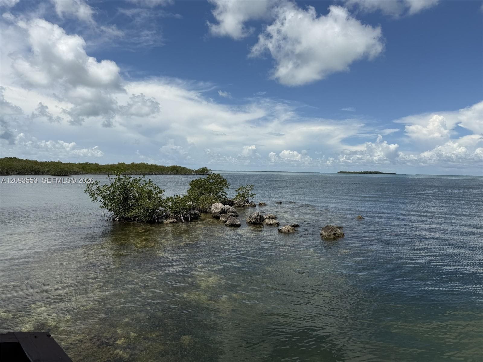 39 Gumbo Limbo Ave photo 26