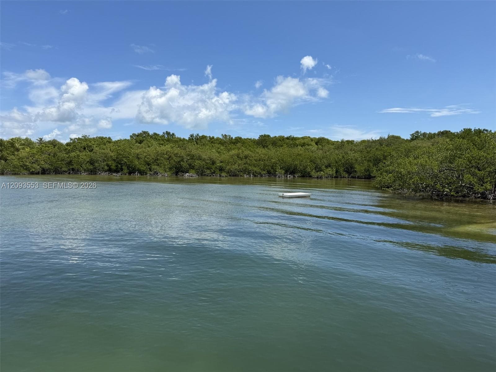 39 Gumbo Limbo Ave photo 25