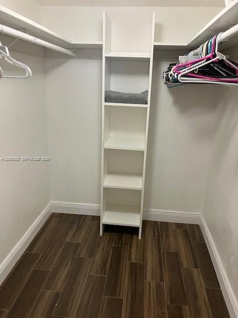 Spacious Walk-in Closet