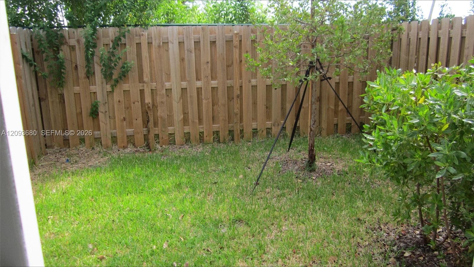 Private backyard featuring a fenced perimeter, grass lawn, and established landscaping
