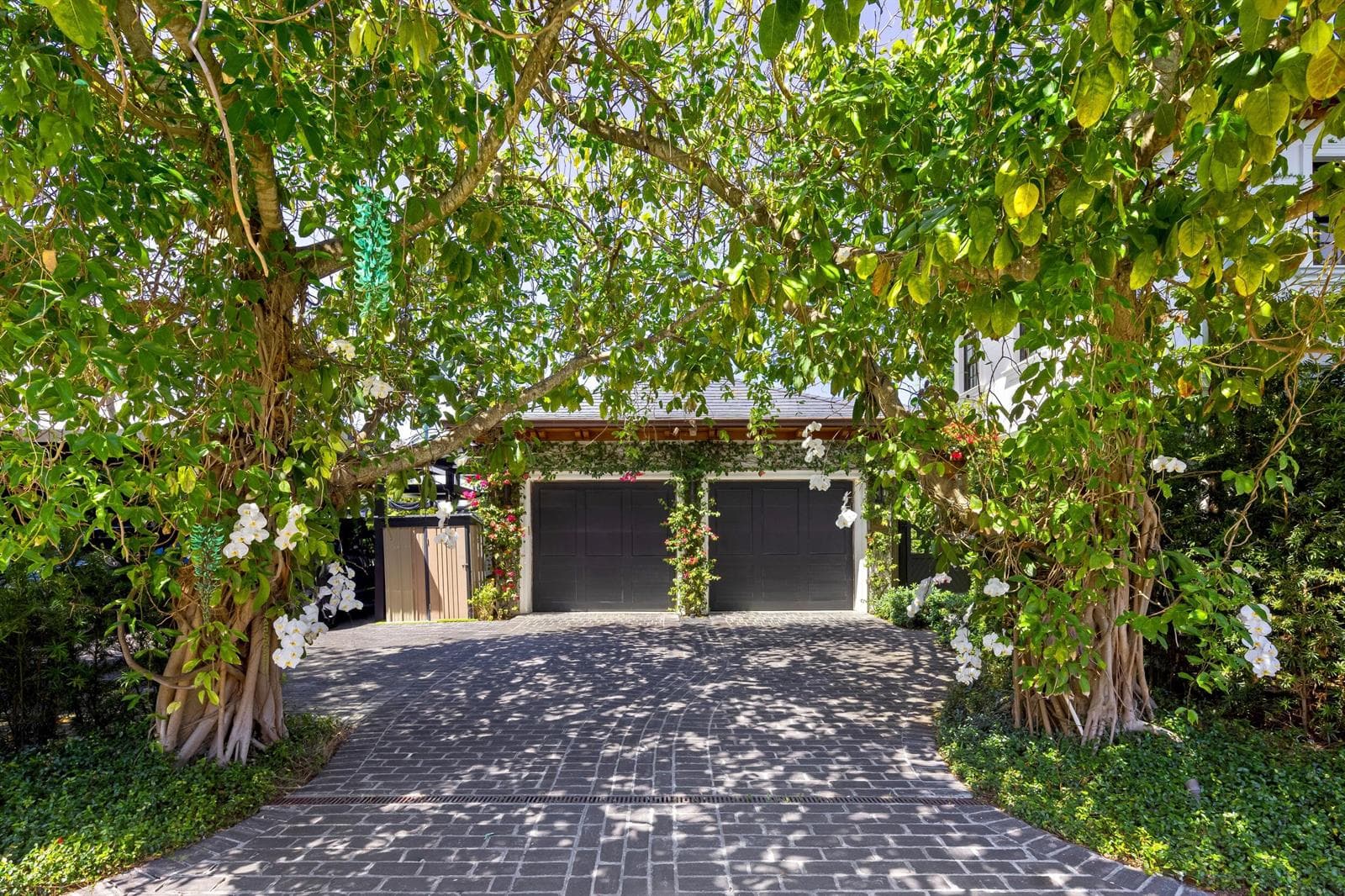 Driveway 1