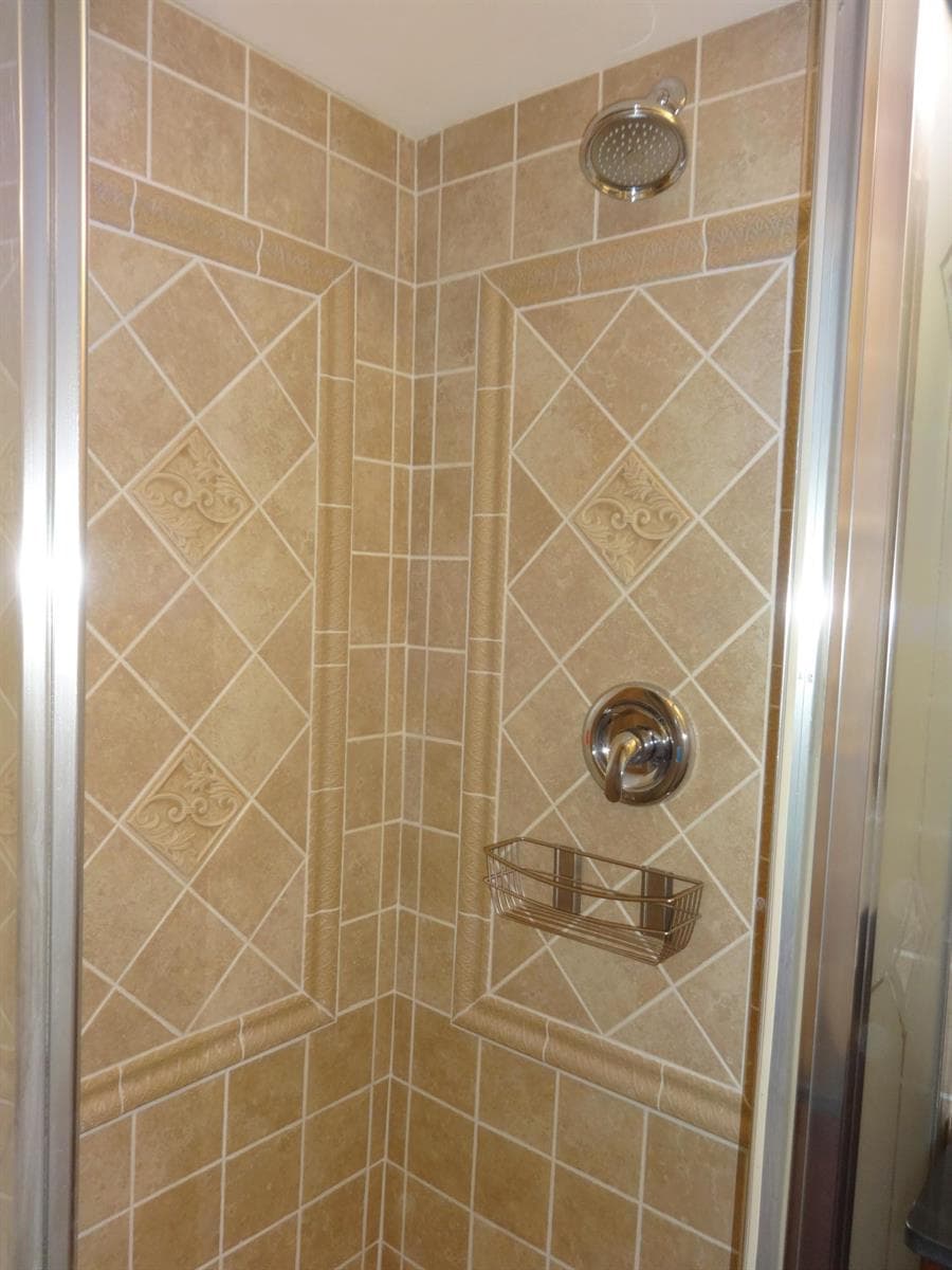 Master walk-in shower