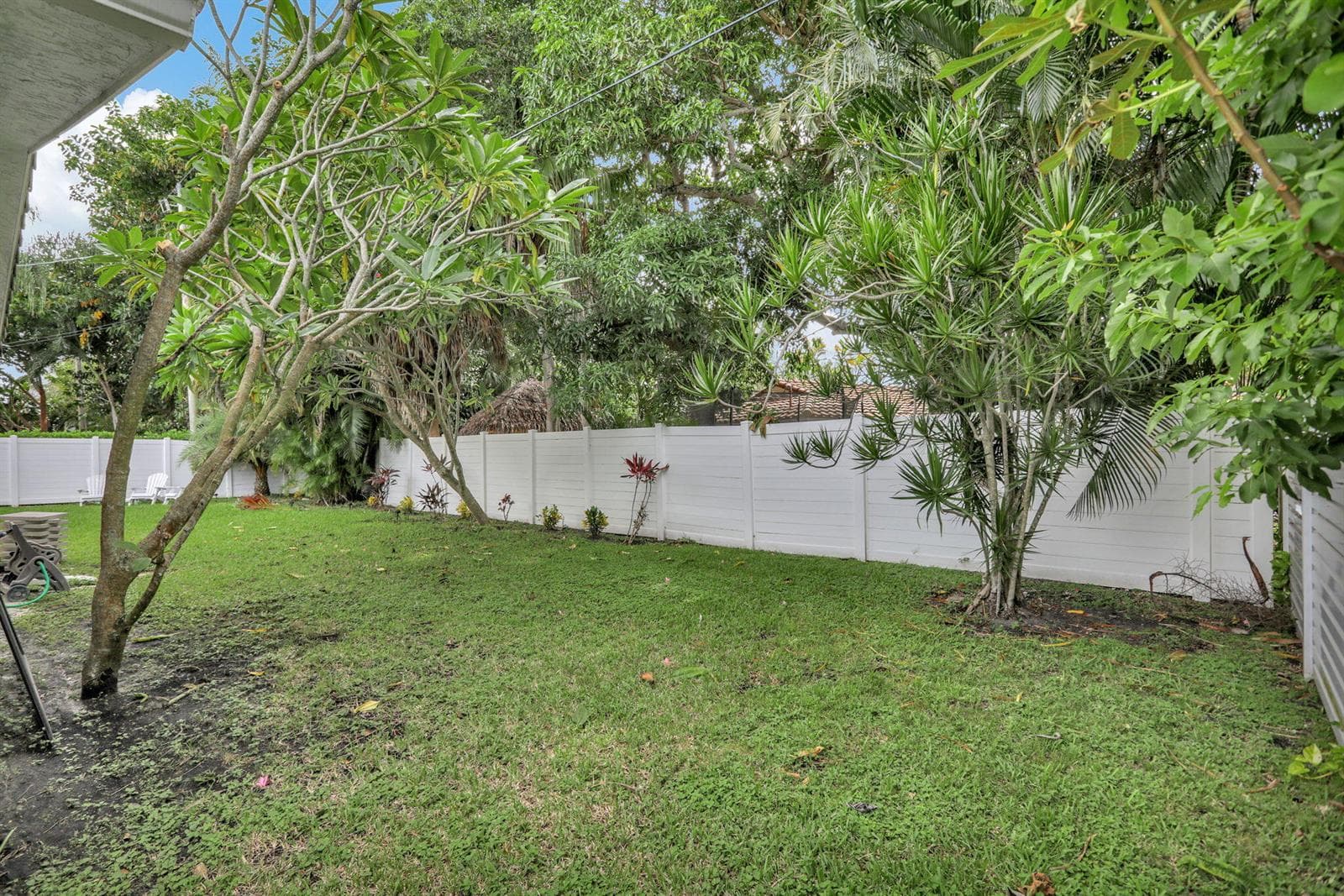 43-web-or-mls-001L3692
