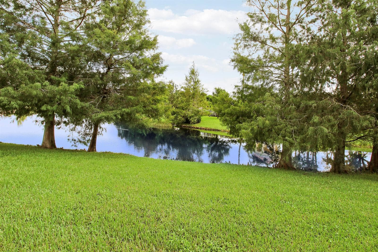 View of Lake