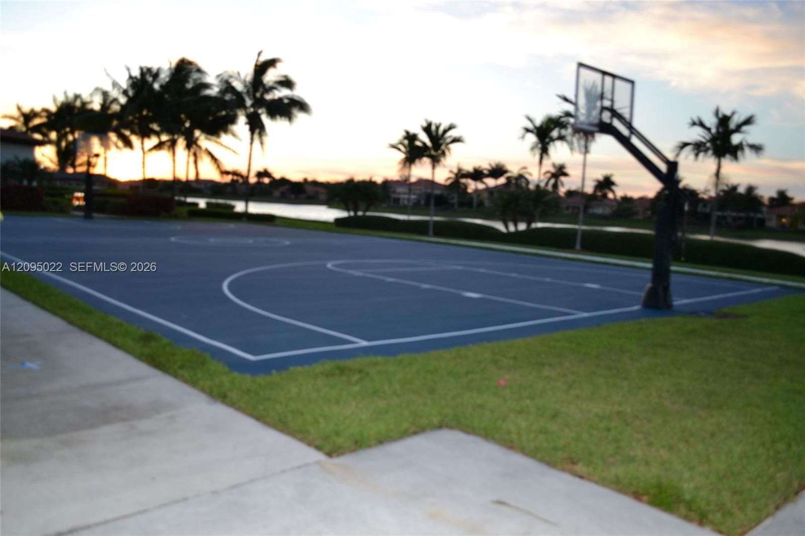 BASKETBALL COURT