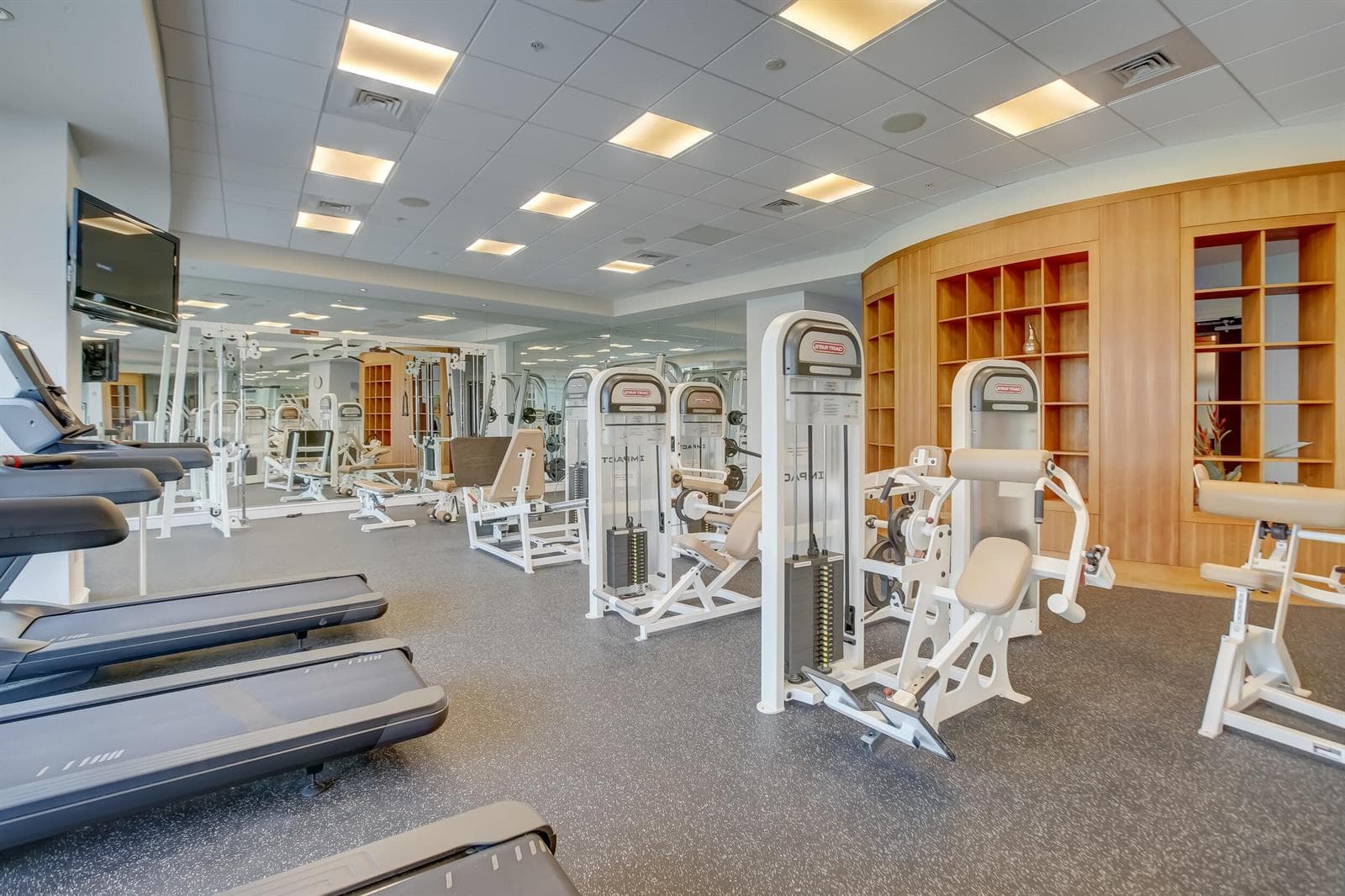 Fitness