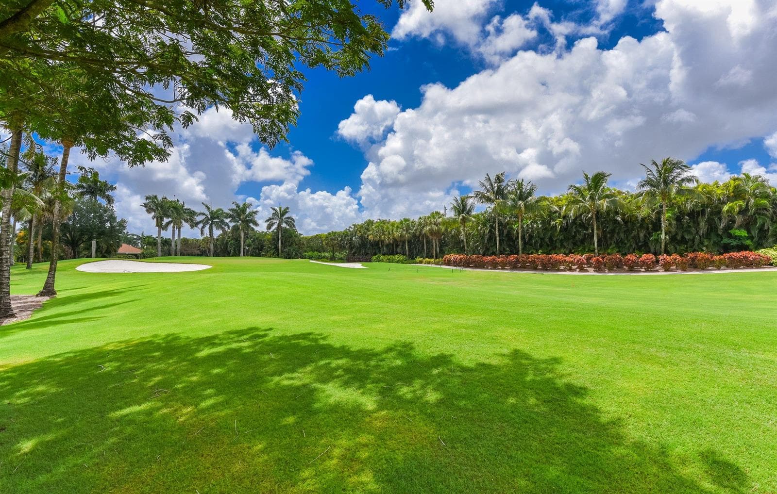 golf course view