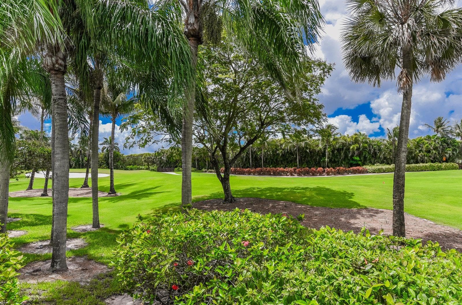 golf course view