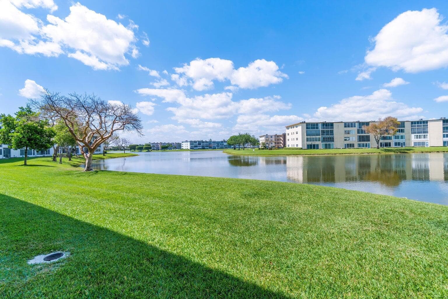 Lake VIew