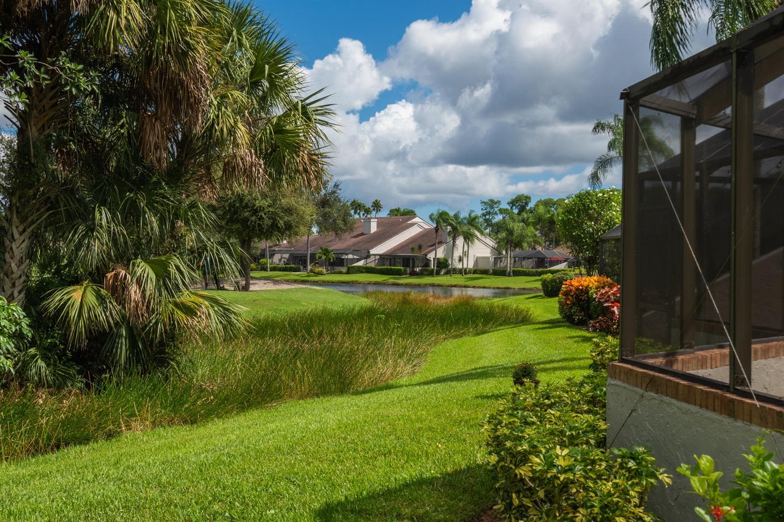 Back