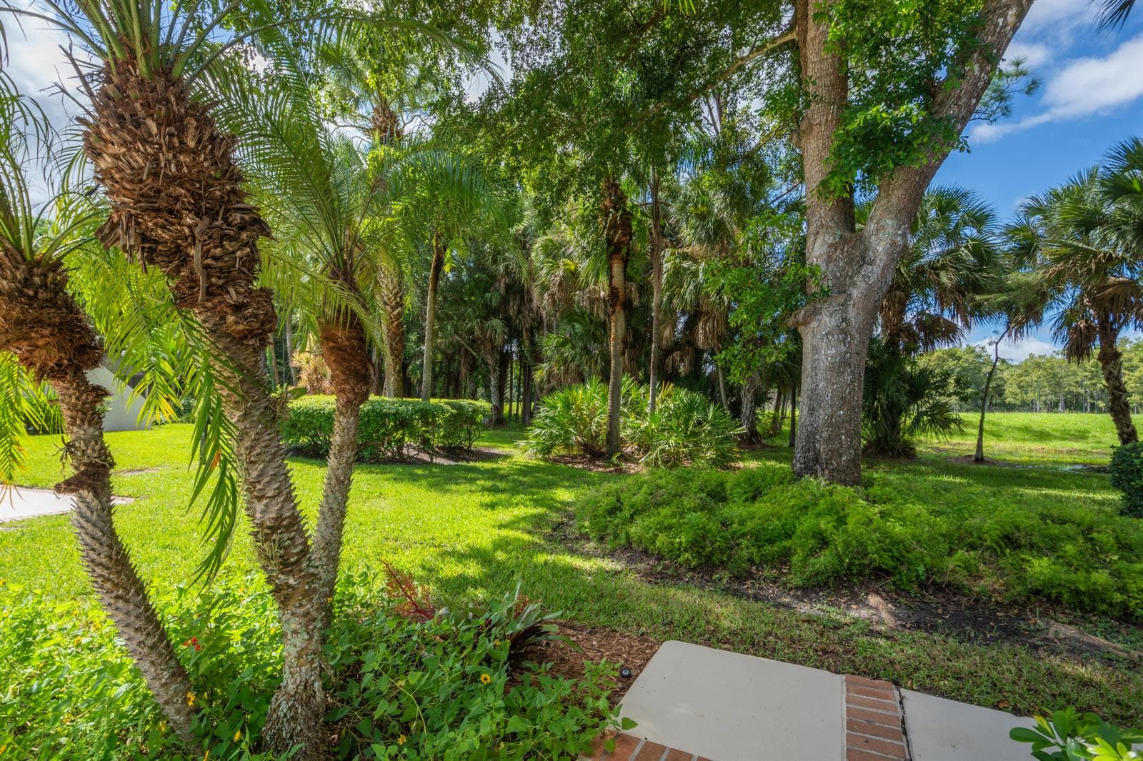 Front Walkway