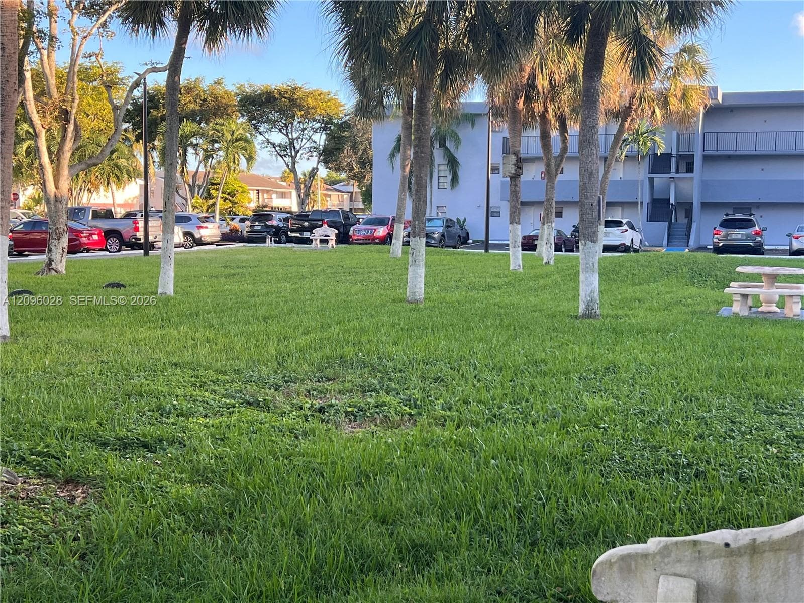 Expansive green space featuring mature palm trees and stone-cast seating areas