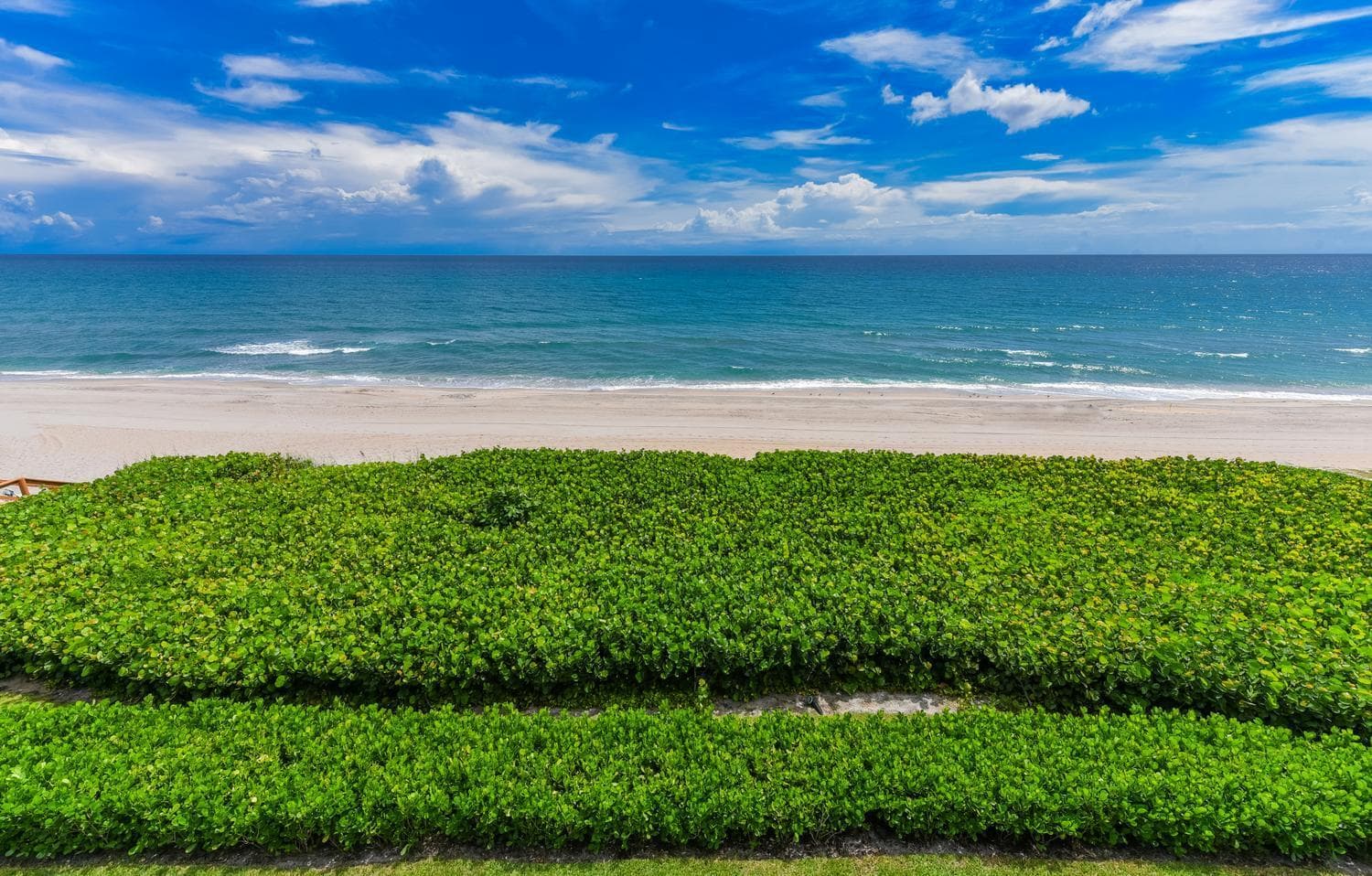 ocean views