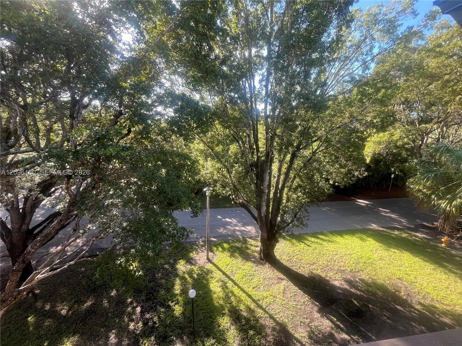 PENTHOUSE Balcony...Tree-top view