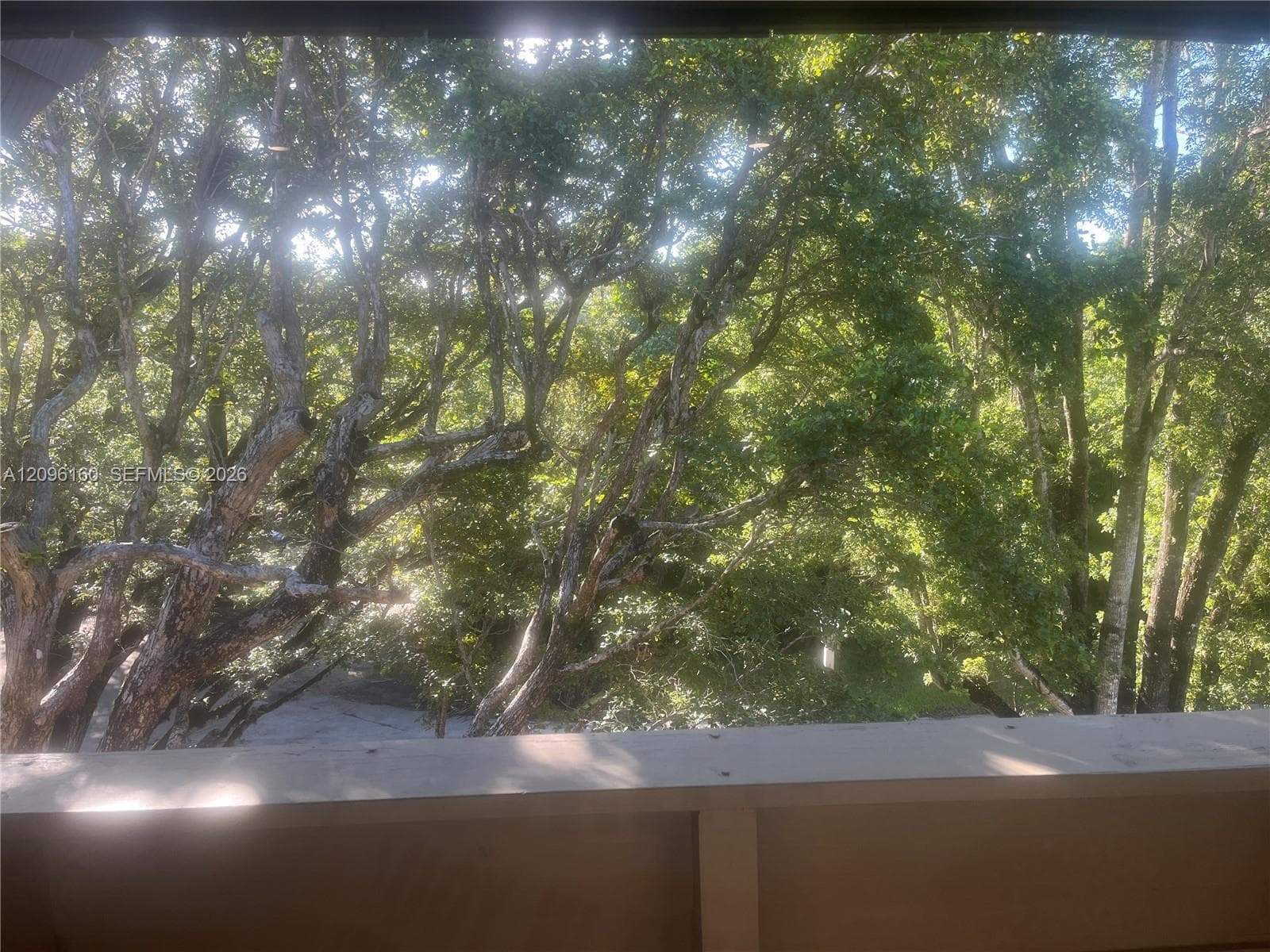 PENTHOUSE balcony...Tree-top view