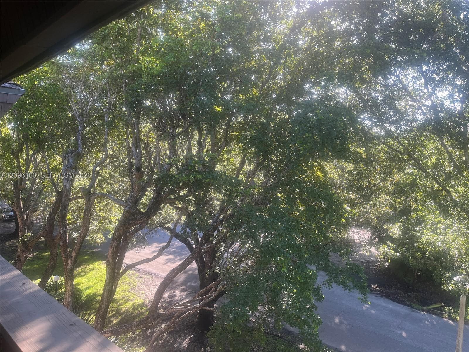 PENTHOUSE Balcony...Tree-top view