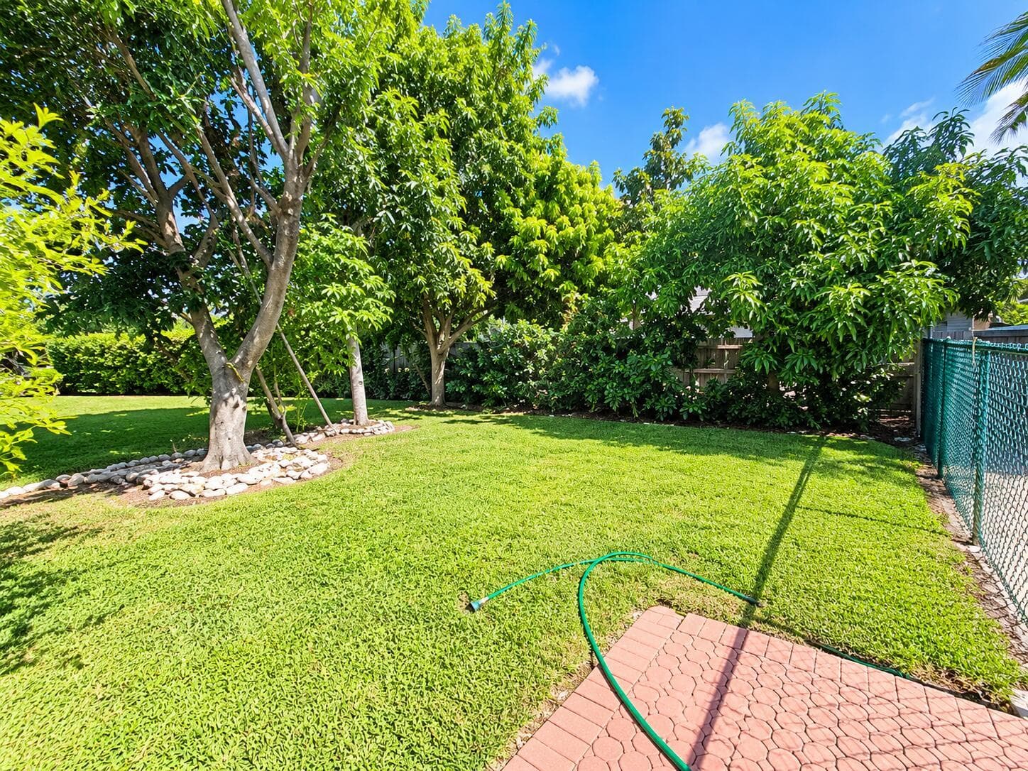 Sunny Backyard Garden with Green Hose