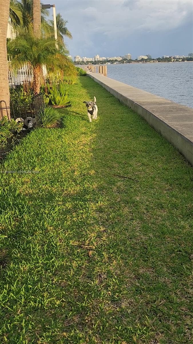 Pet area