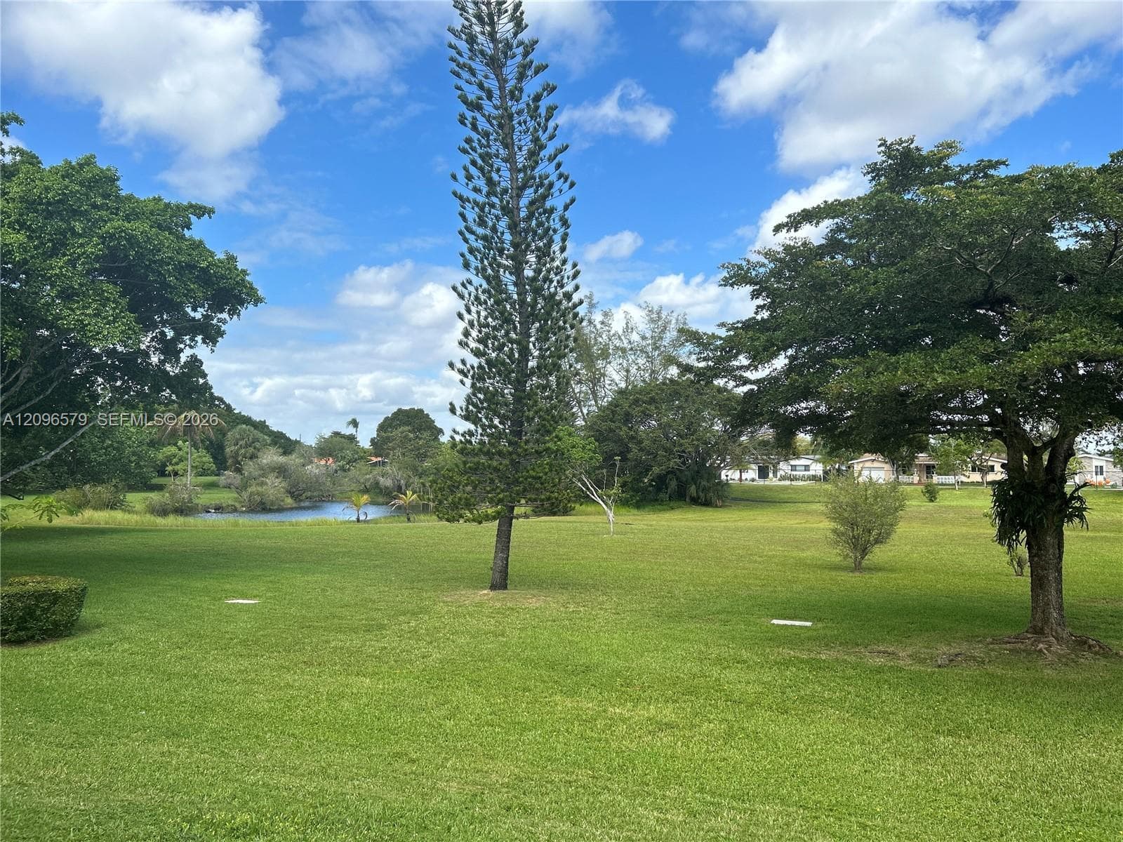 walking path/pond