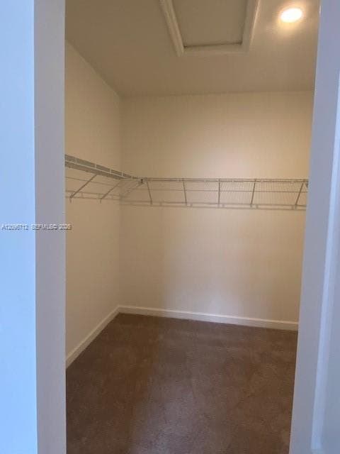 11920 SW 244 Lane #11920 photo 10