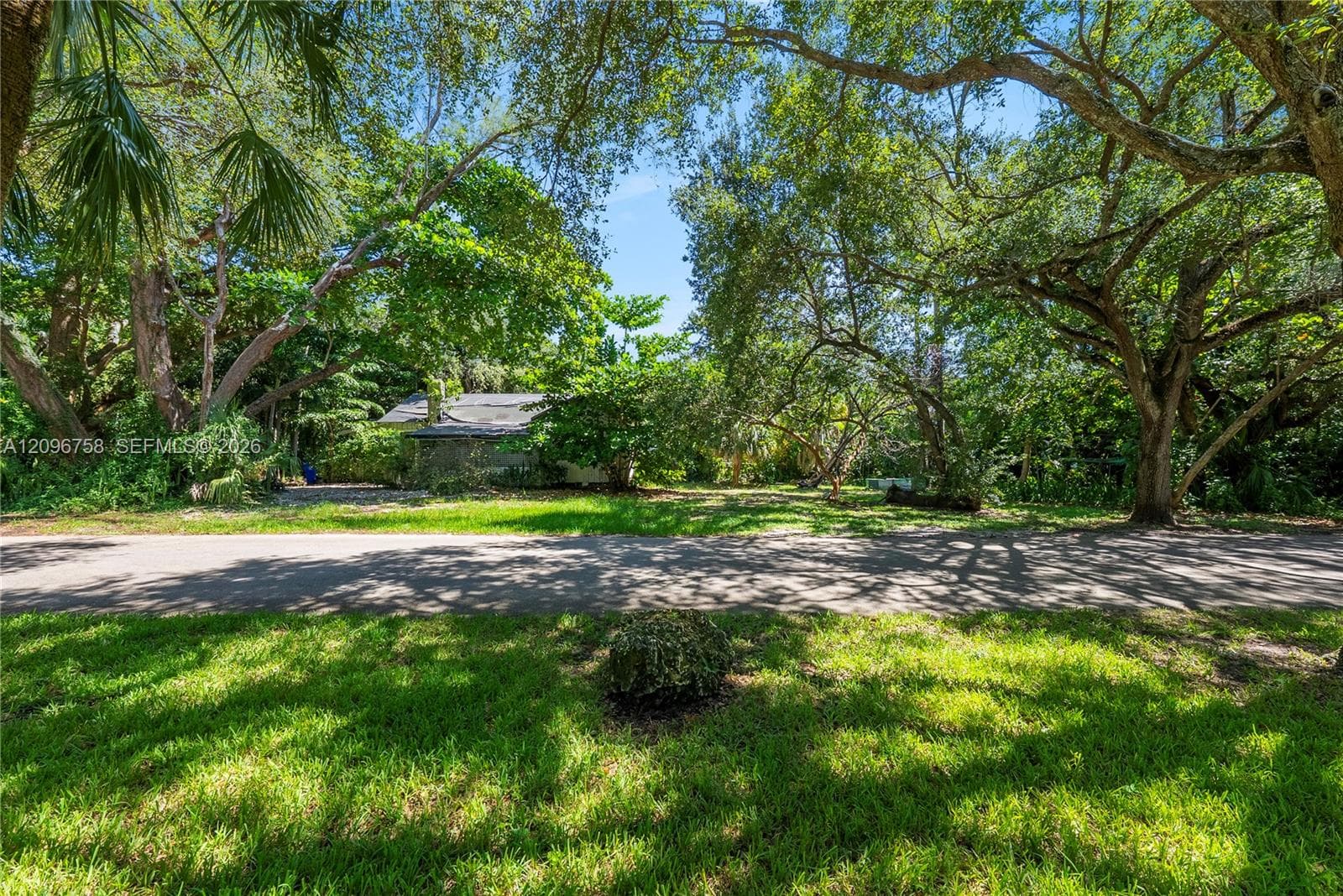 3598 Avocado Ave photo 2