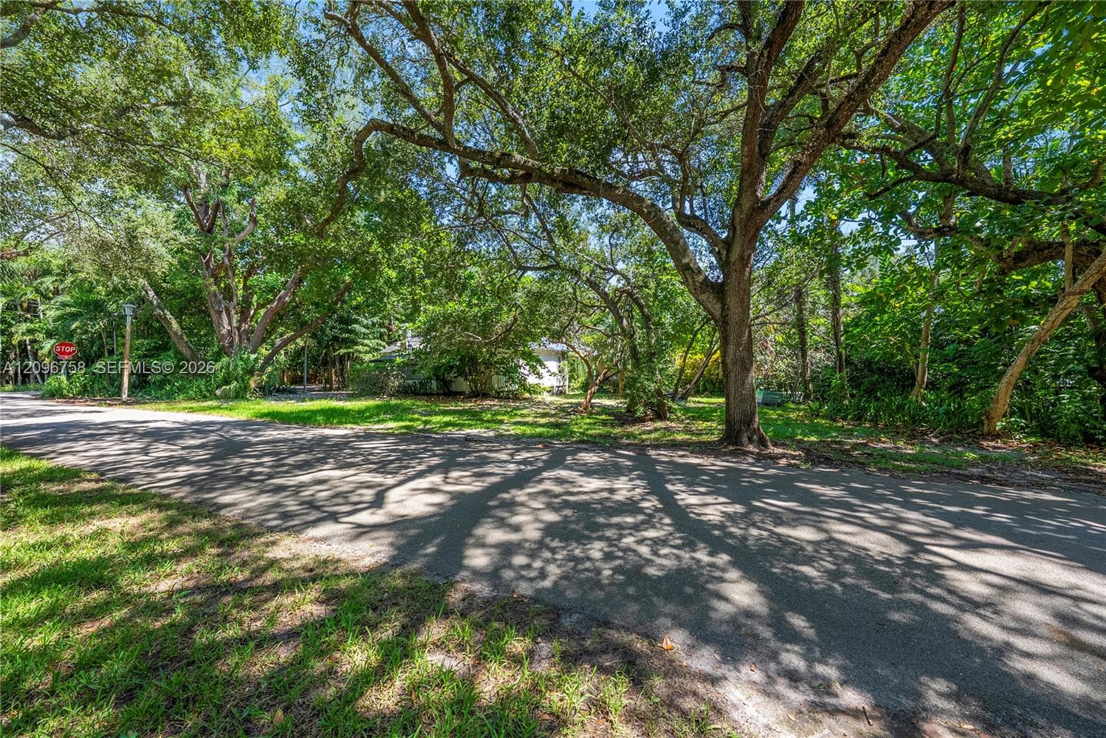 3598 Avocado Ave photo 3
