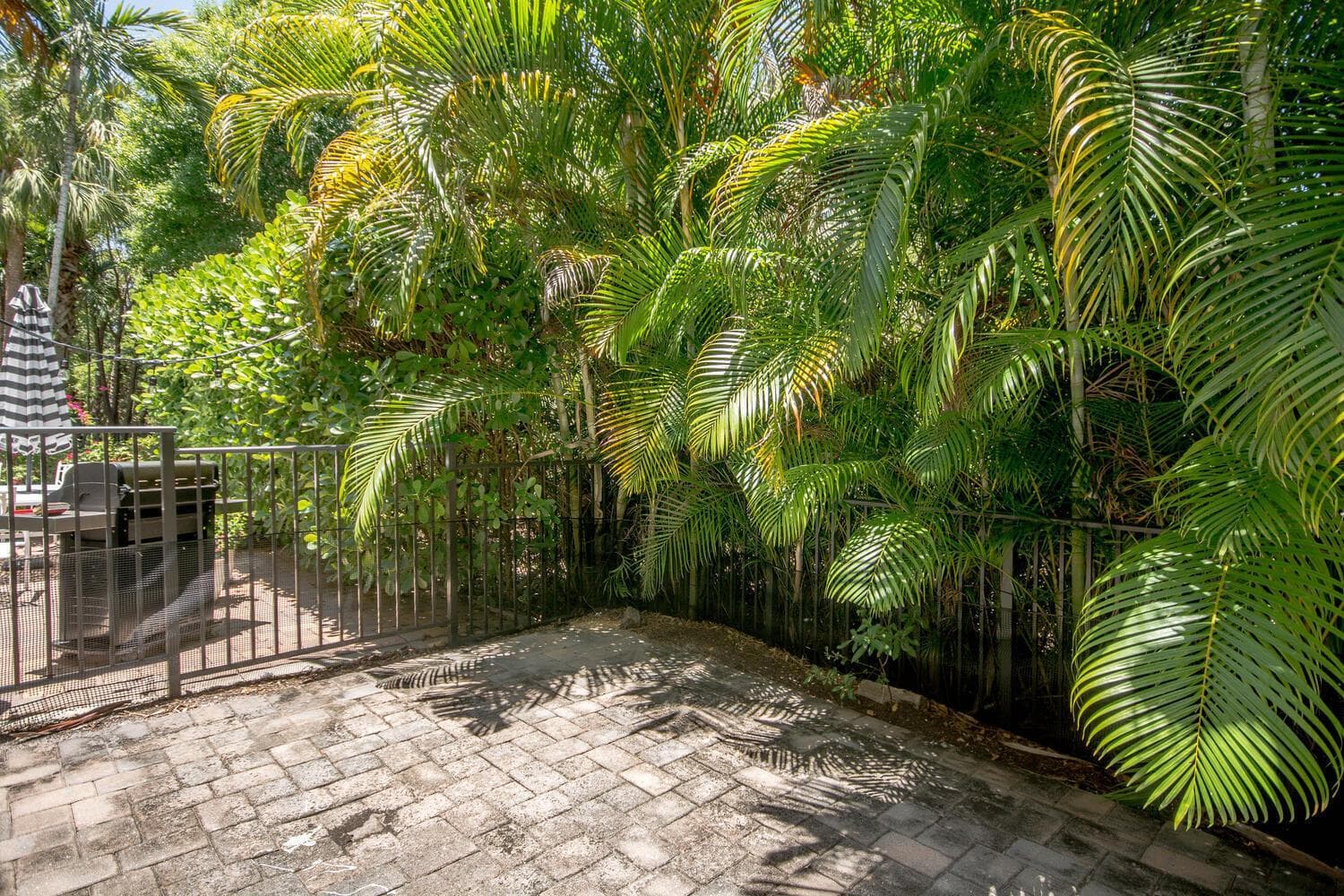 Fenced In Patio