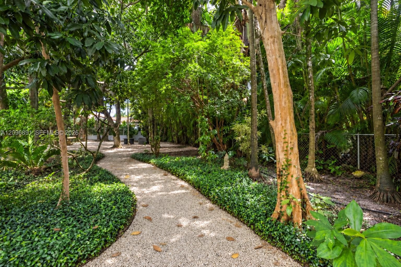 Out for a Walk