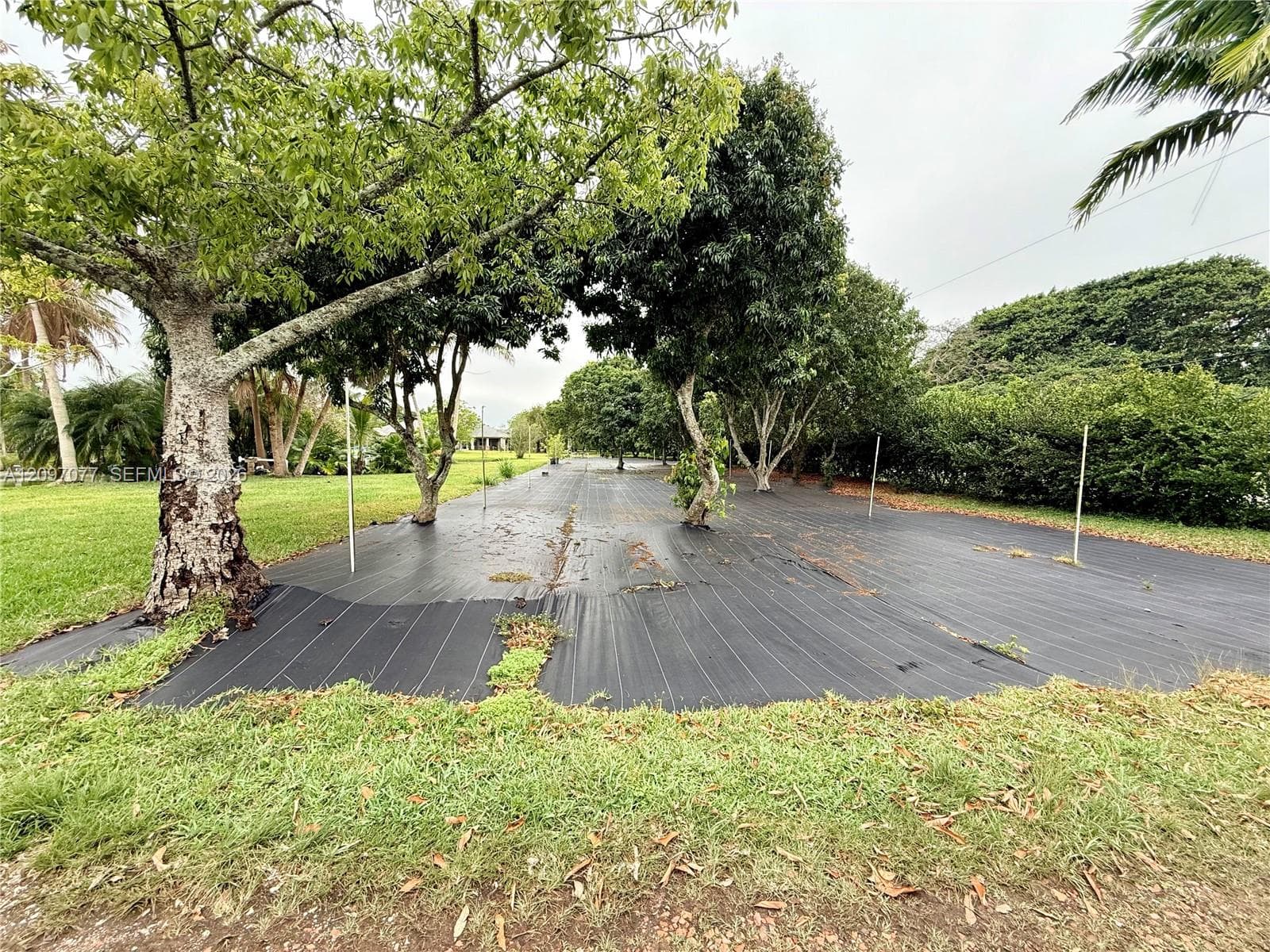 20175 SW 256th St photo 37