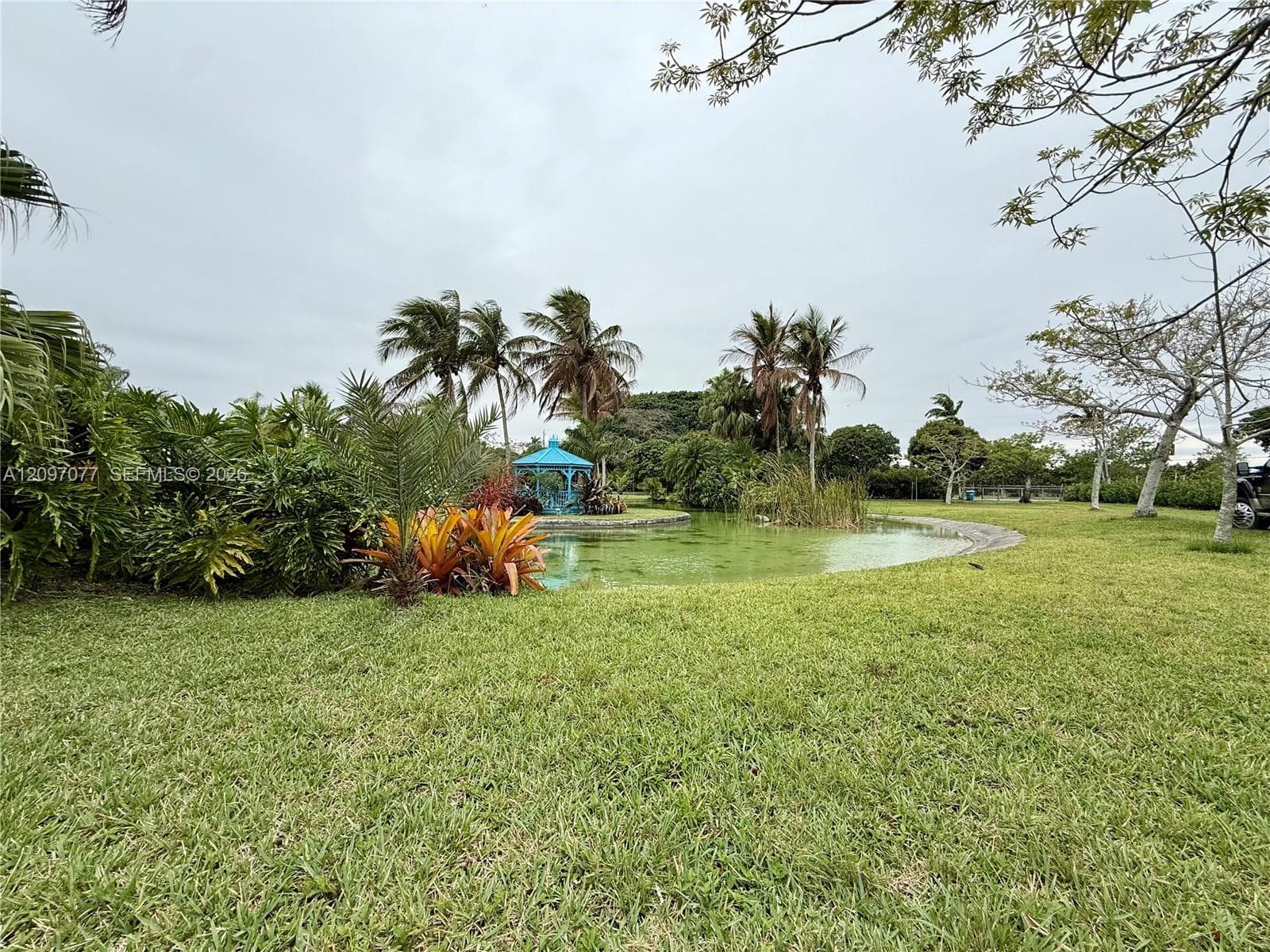 20175 SW 256th St photo 35