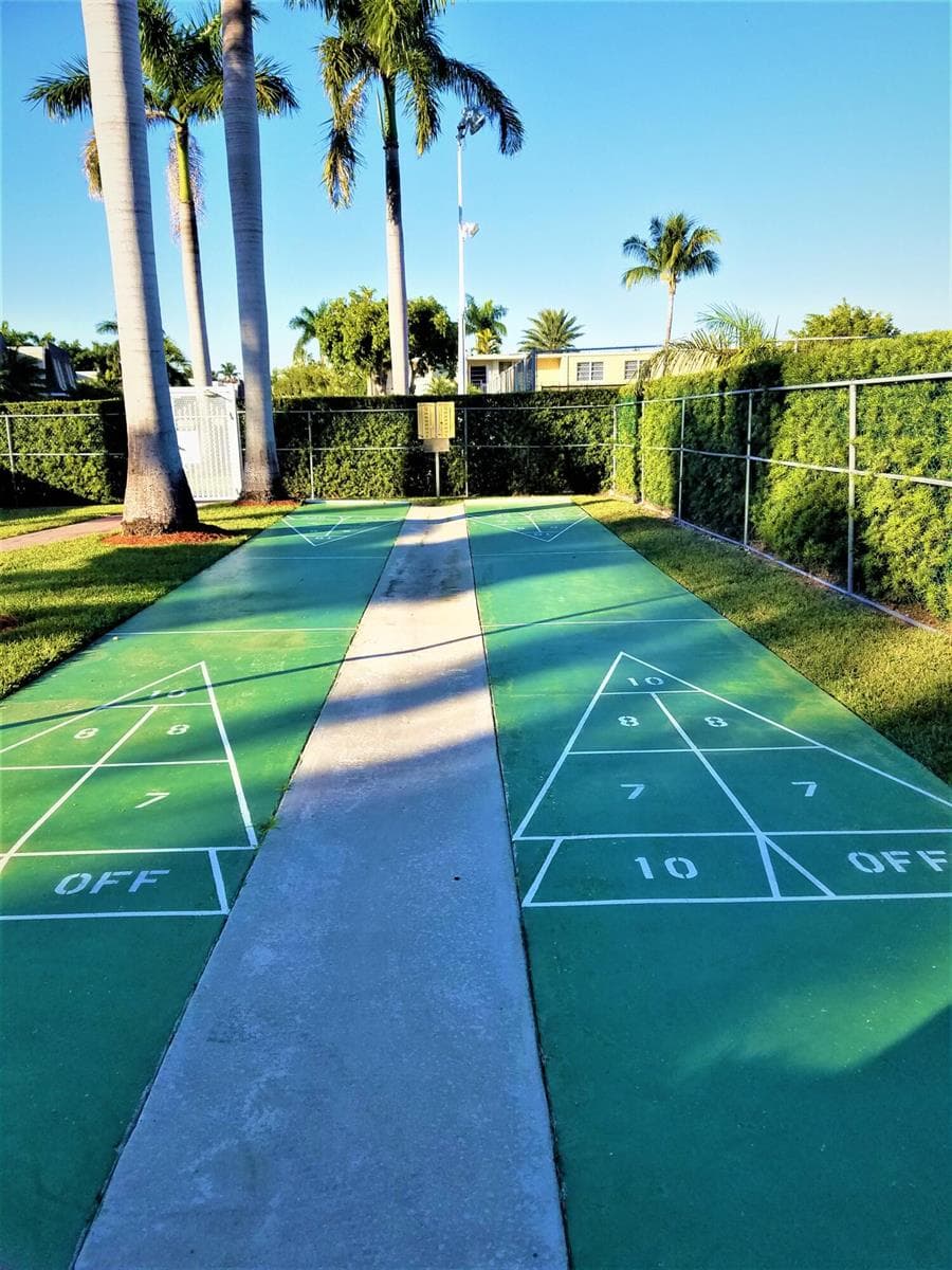 Shuffleboard Court