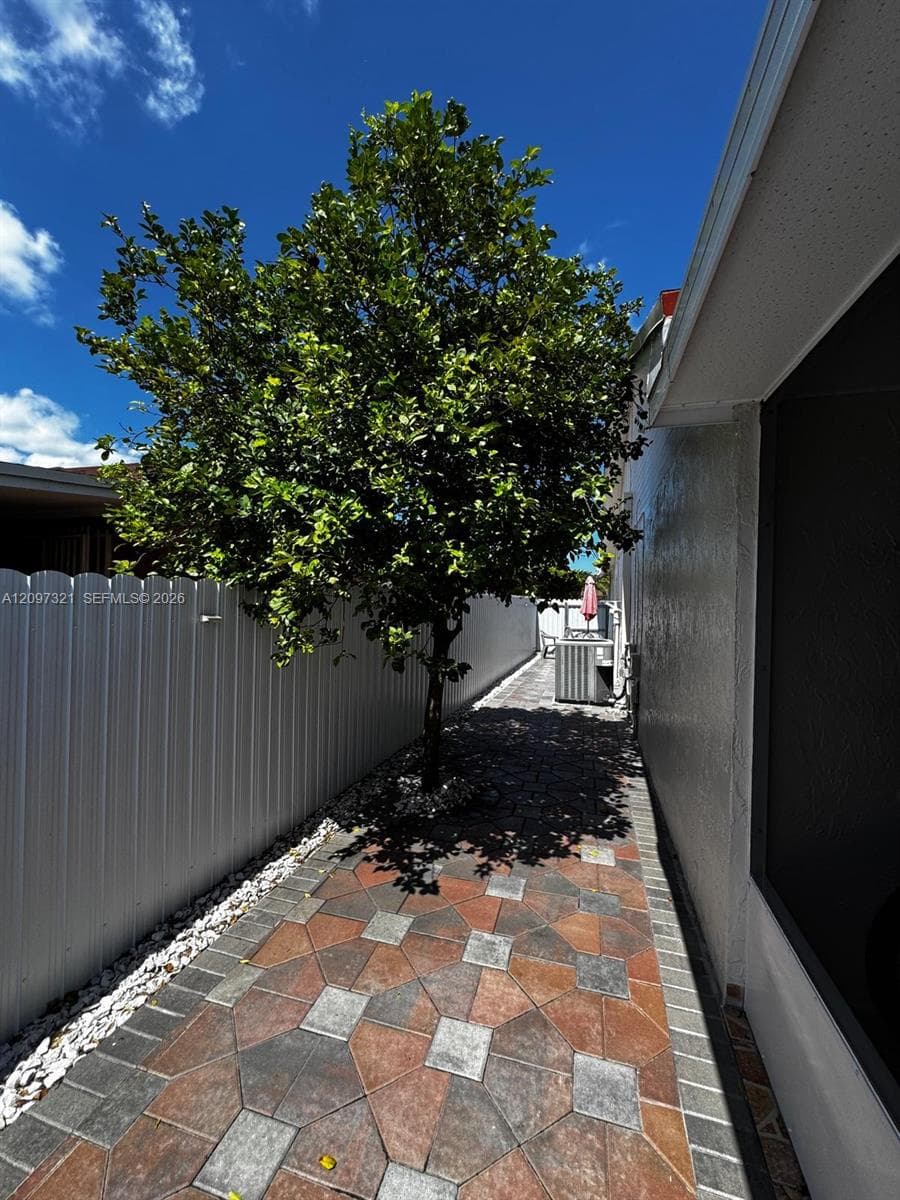 Sour Orange Tree