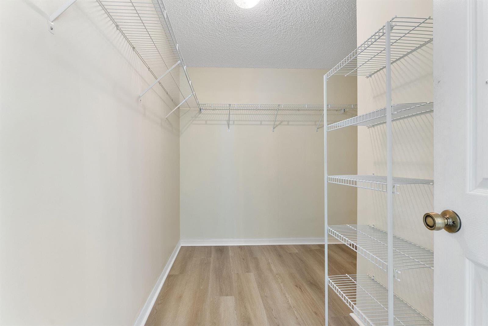 52-web-or-mls-DSC09371
