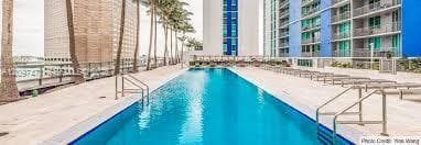 Rectangular swimming pool featuring metal access railings, a concrete deck, and perimeter palm trees