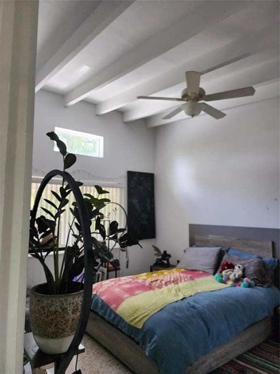 lilly apt 1 bedroom 2