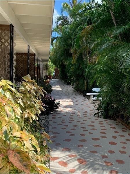 Tropical Lush Entrance