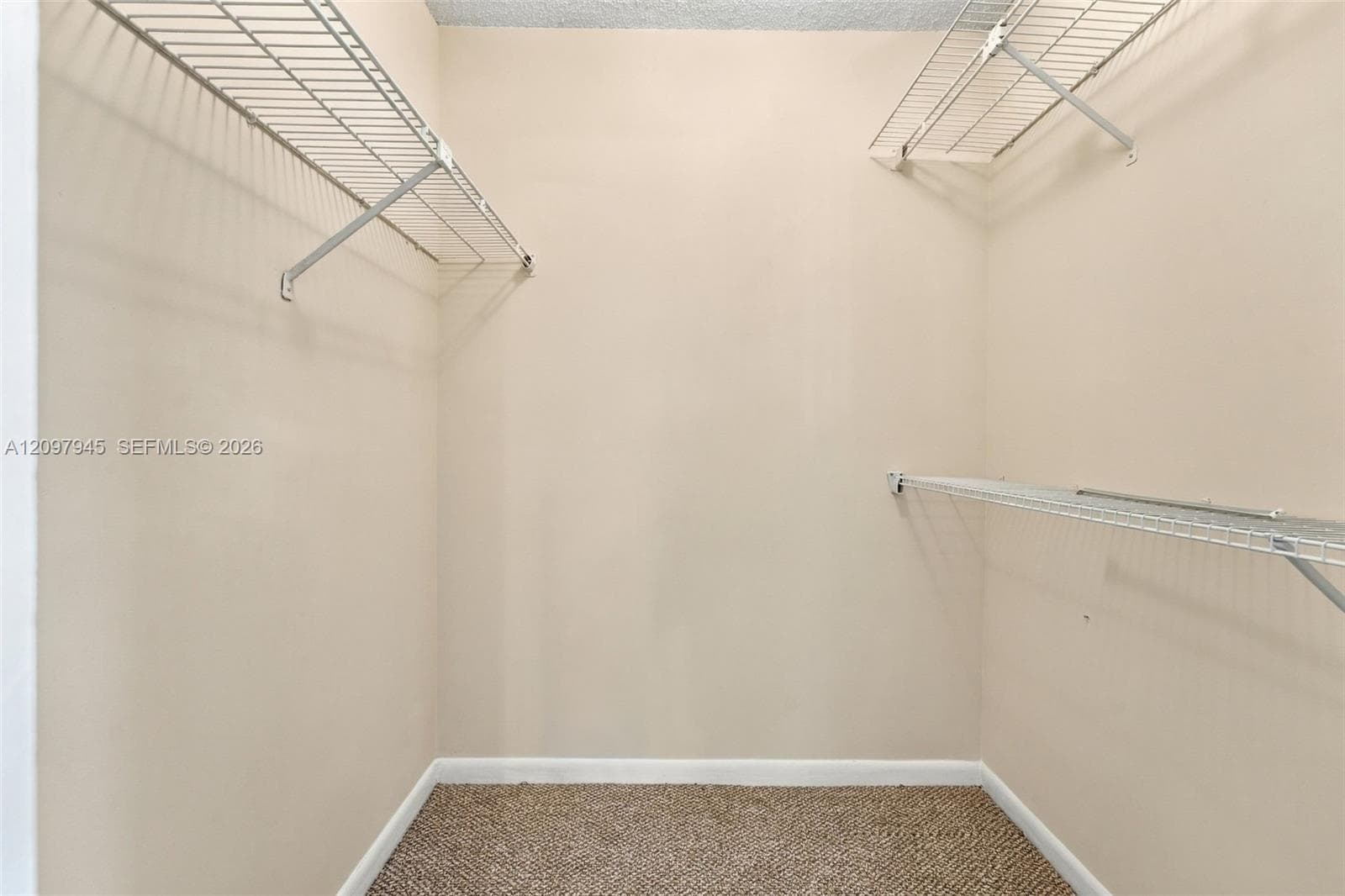 Walk-in closet featuring neutral wall paint, carpeting, and tiered white wire shelving