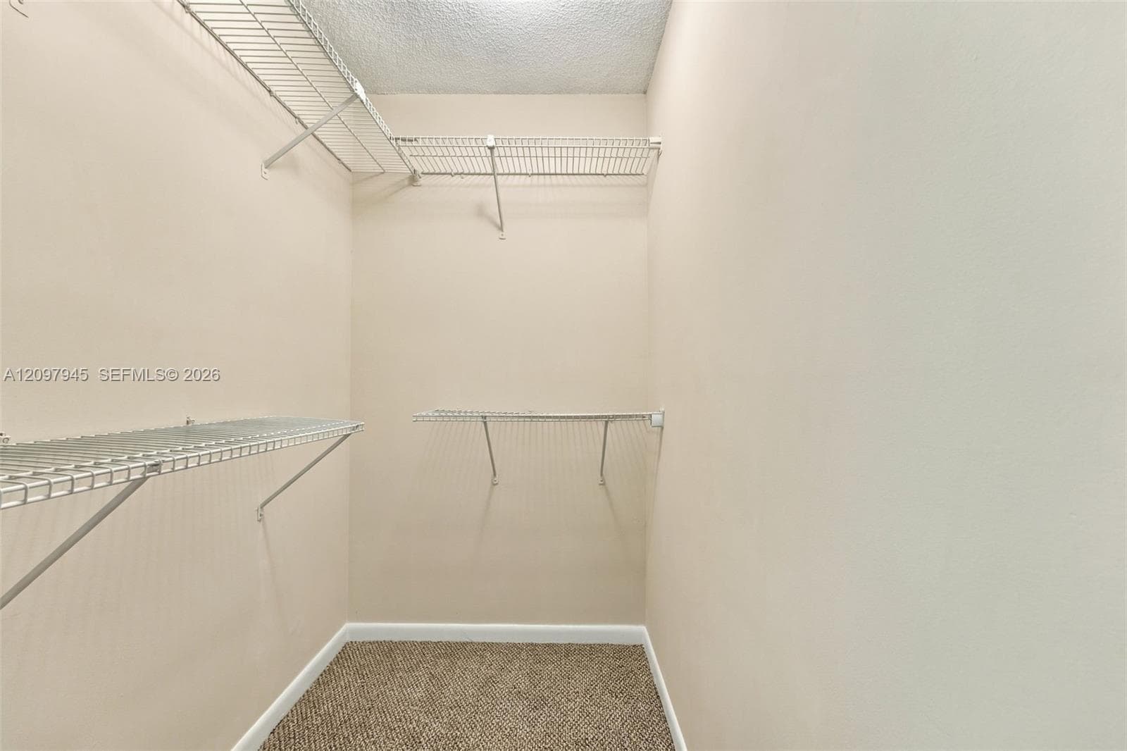 Walk-in storage closet featuring wall-to-wall carpeting and tiered white wire shelving