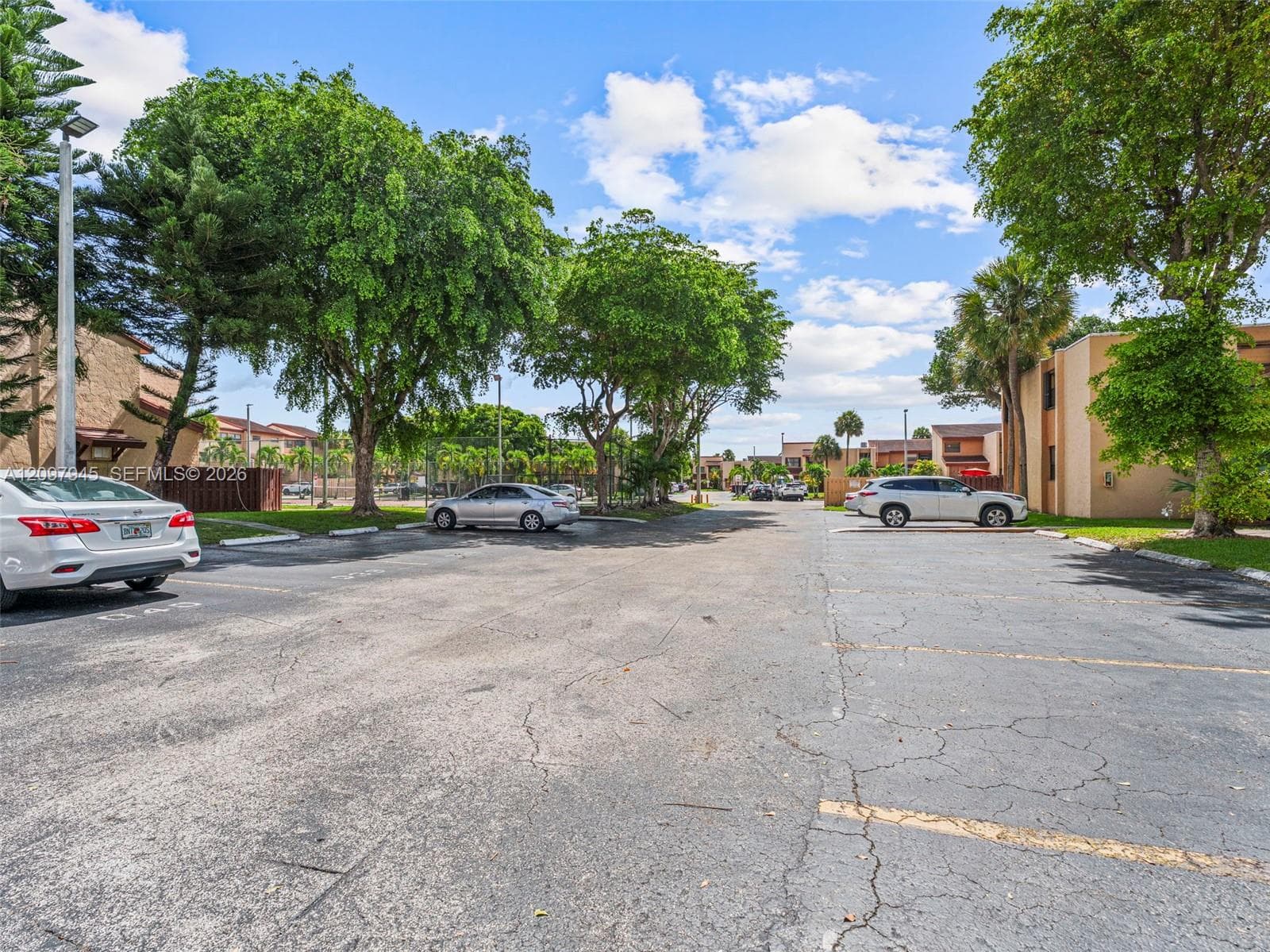 Asphalt parking lot featuring striped stalls, overhead lighting, and mature trees