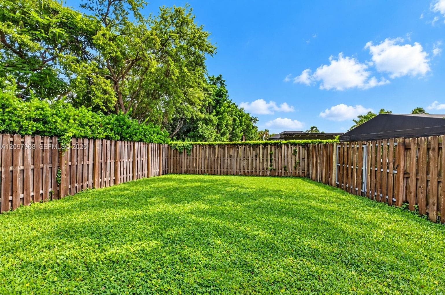 Large side yard