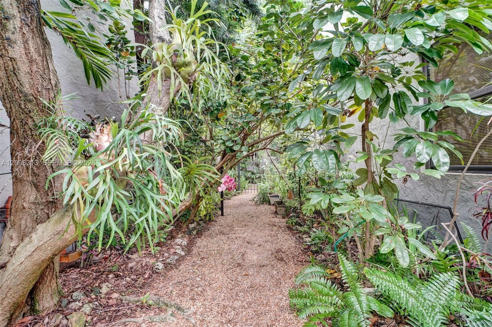 Community Courtyard