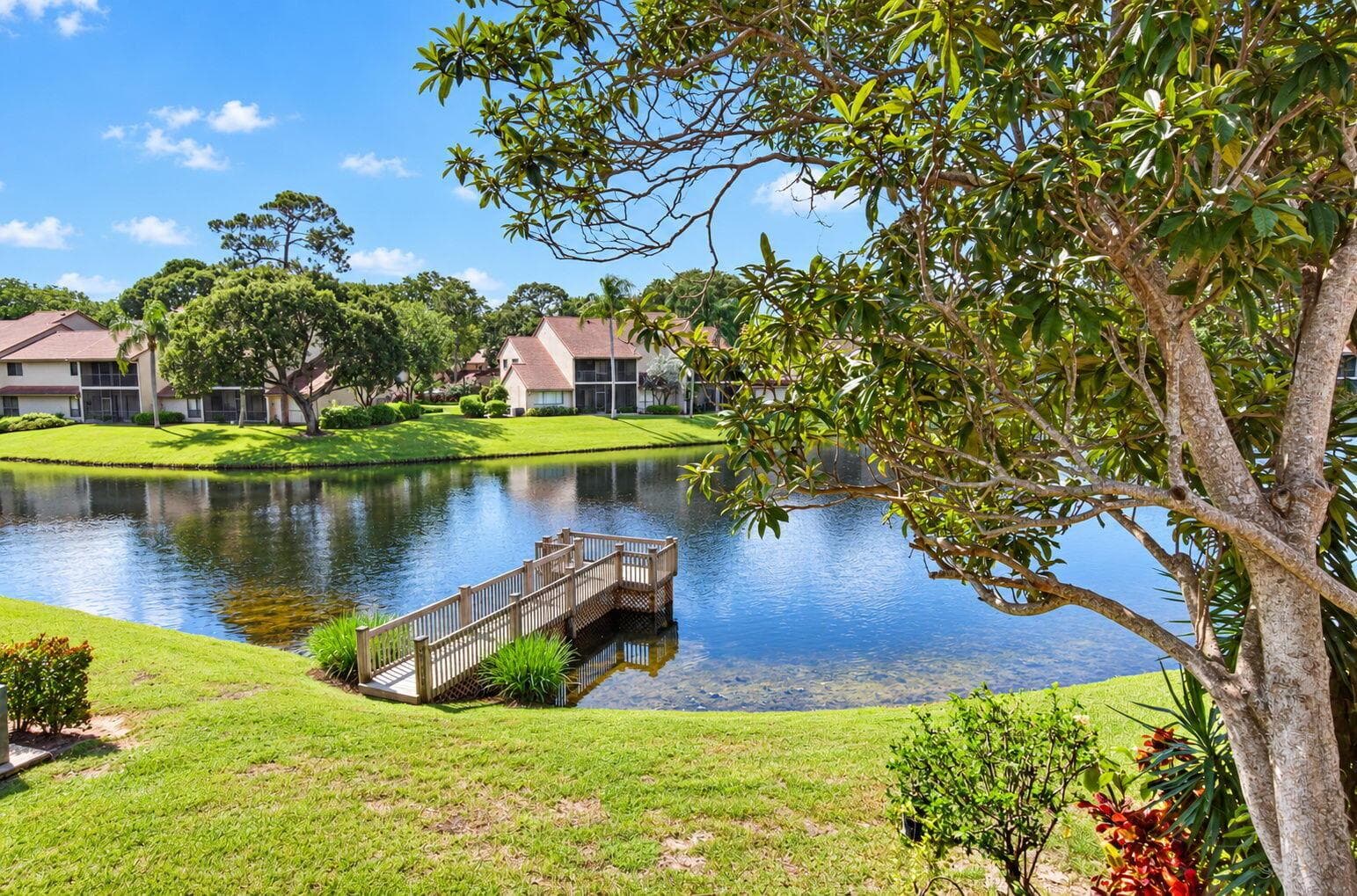 LAKE VIEWS