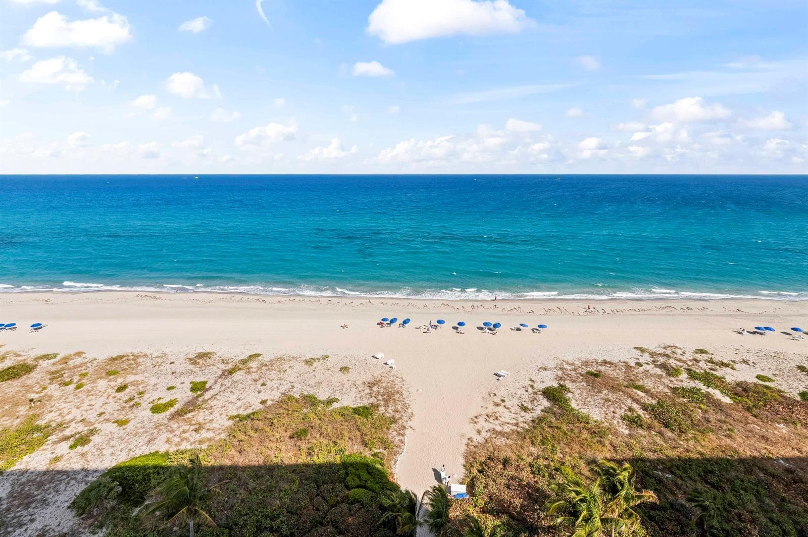 FOREVER OCEAN VIEWS