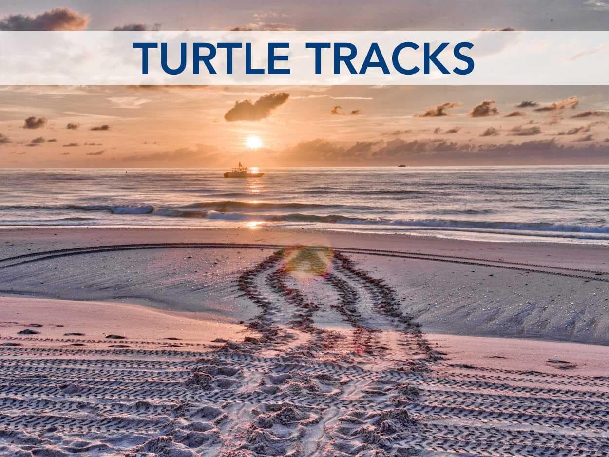 turtletracks