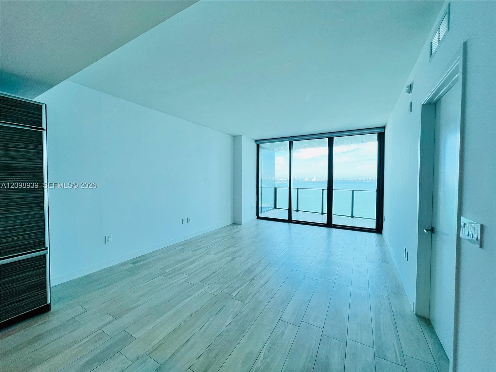 Spacious room featuring wood-finish flooring, a full-height built-in storage unit, and a large sliding glass door