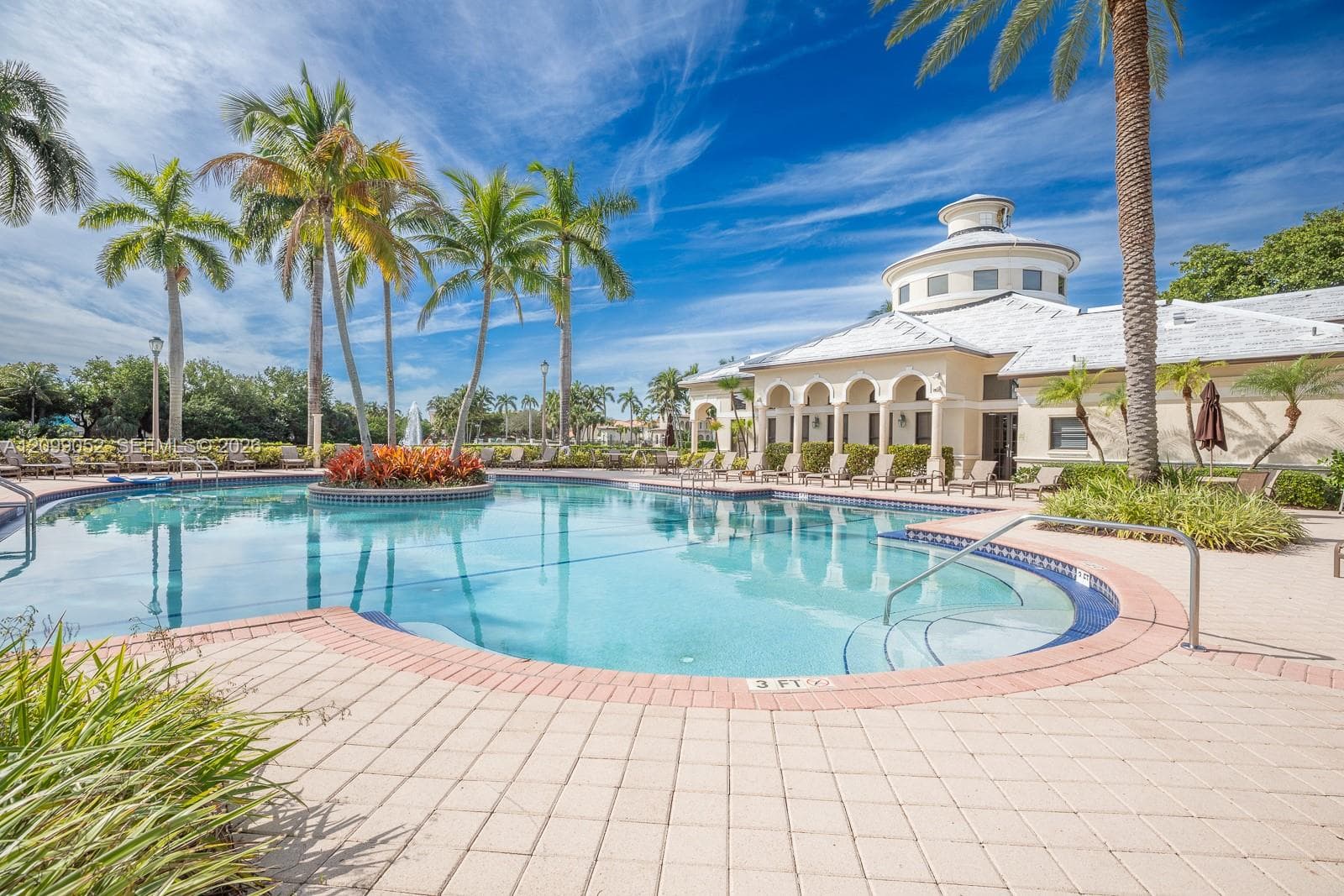 Swimming pool featuring a sun shelf entry, brick paver coping, and a central landscaped island with palm trees