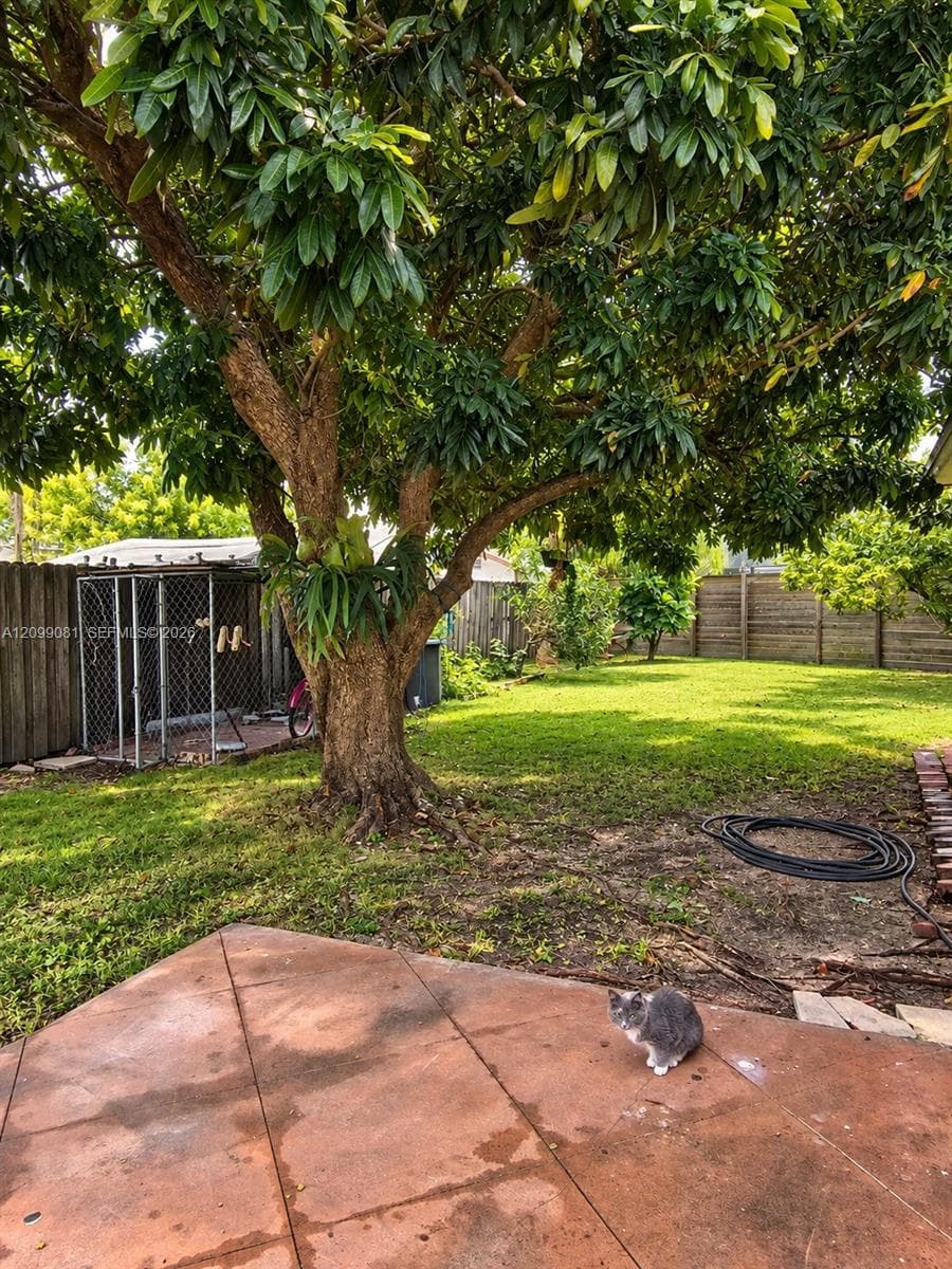 26750 SW 124th Ave photo 16