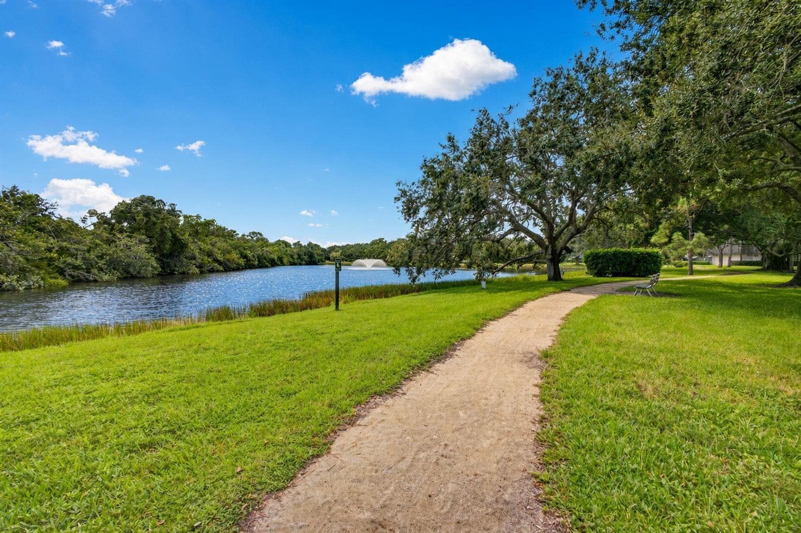 5-web-or-mls-SeA5B